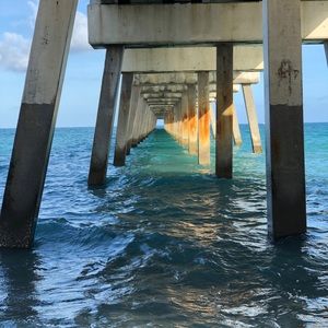 Meet your Posher, Catherine